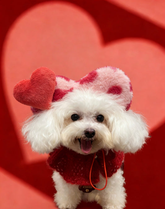 Fall in Love Heart Pet Headpiece product image 2 | GutsDogCom