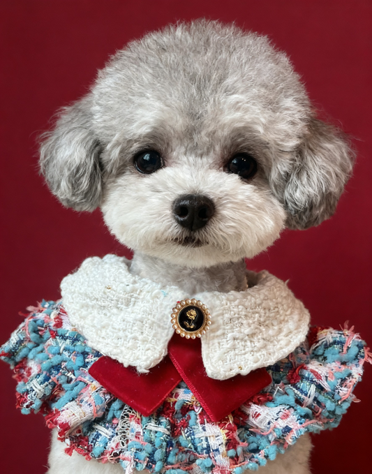 GDC0499 藍紅粗毛編織女裝圍巾