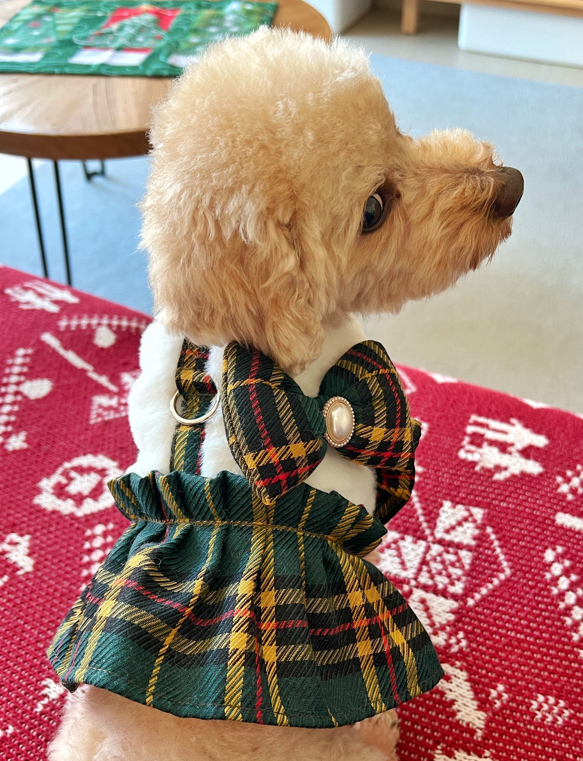 GDC0507 復古格胸背帶(白毛毛)不連拖繩