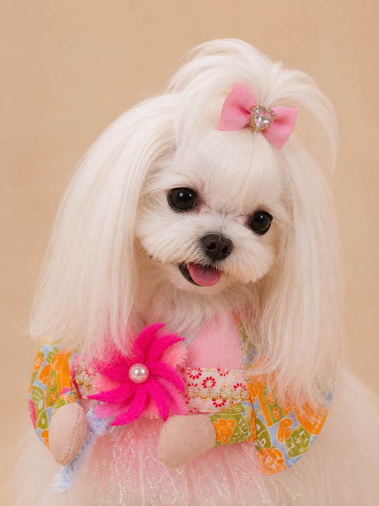 Fireworks Festival Sakura Kimono Pet Scarf – Girl product image | GutsDogCom