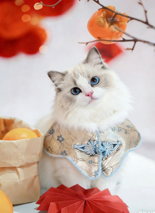 Sky Blue Plum Blossom Qipao product image 2 | GutsDogCom