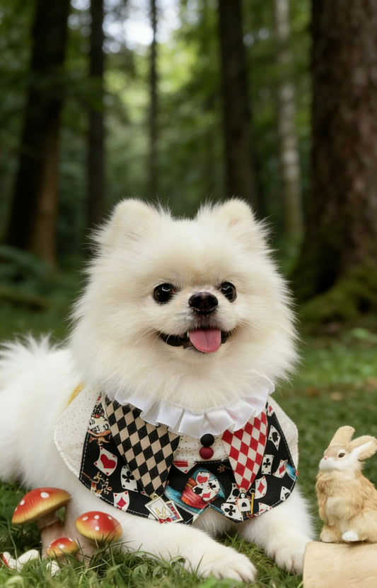 Black Poker Clown Pet Scarf product image 2 | GutsDogCom