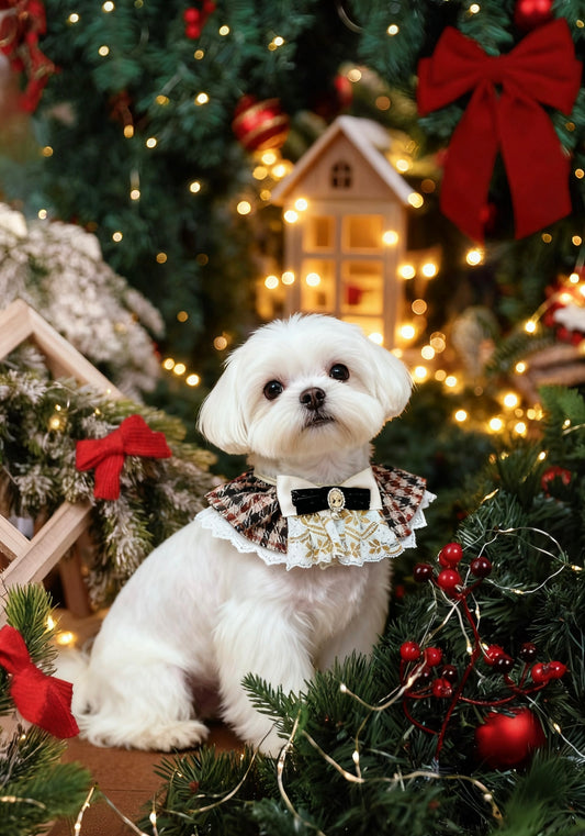 Royal Vintage Brown Plaid Pet Scarf - Girl product image 2 | GutsDogCom