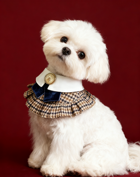 Women's Vintage British Scarf (Blue) product image 2 | GutsDogCom