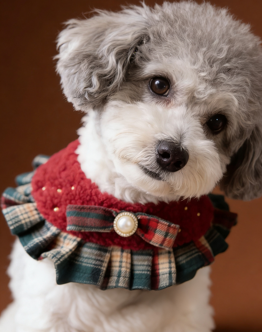 Lady Red and Green Checked Fuzzy Cape product image 2 | GutsDogCom