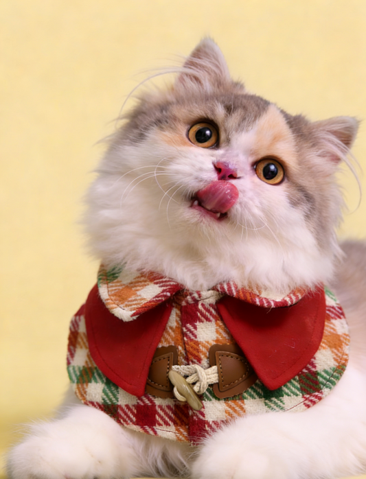 Colorful Detective Pet Scarf product image 2 | GutsDogCom