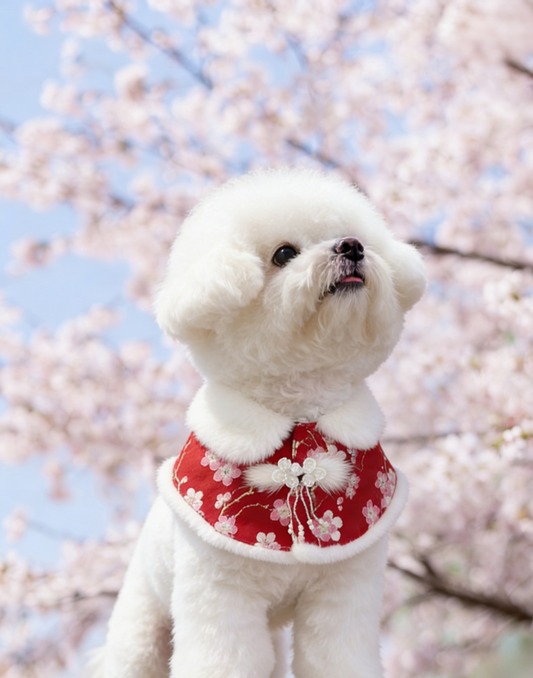 Red Sakura Faux Fur Pet Shawl product image 2 | GutsDogCom