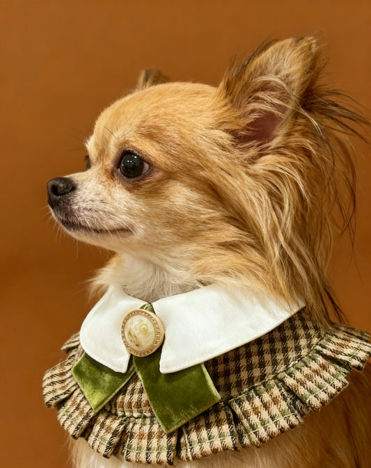 Women's Vintage British Scarf (Green) product image 2 | GutsDogCom