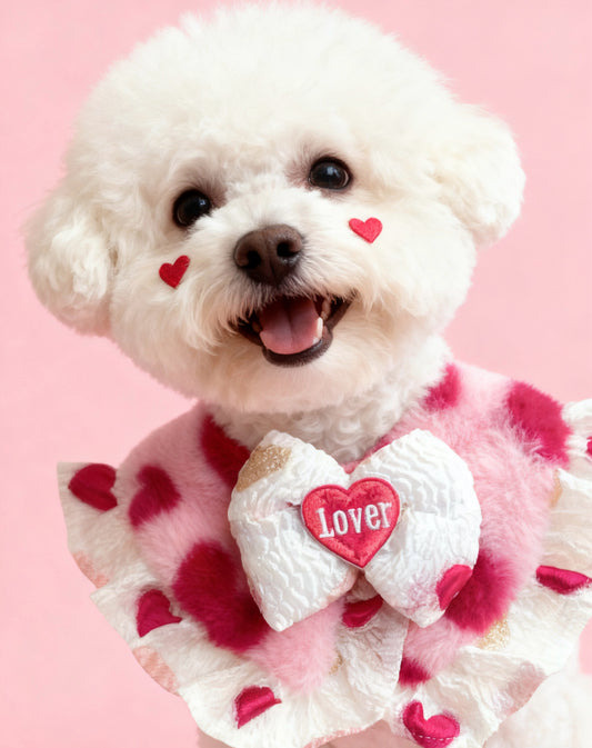 Fall in Love Heart Pet Scarf product image 2 | GutsDogCom