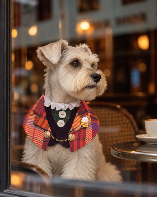 The Camden Gentleman Scarf