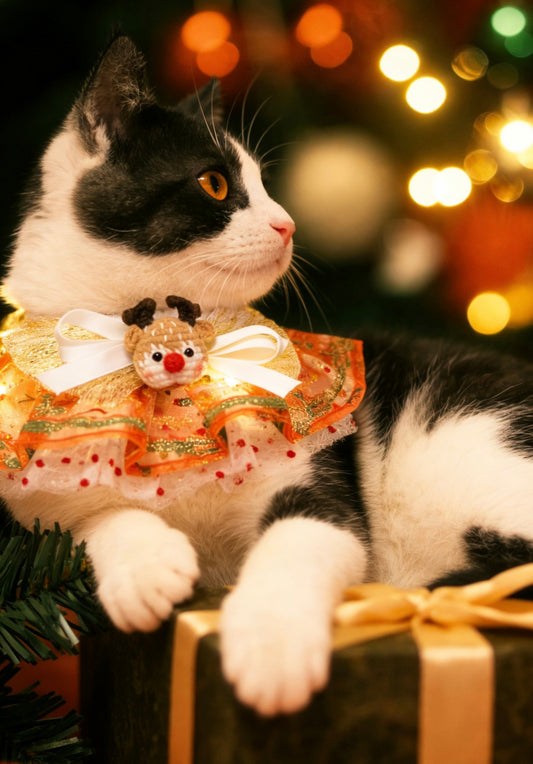 Wish You Merry Christmas Reindeer Scarf (Light-Up) product image 2 | GutsDogCom