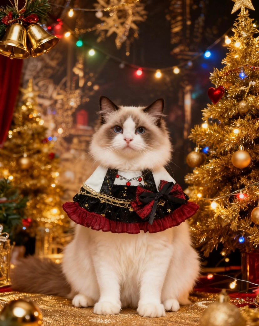 GDC1018 華麗璀璨星空伯爵夫人領巾