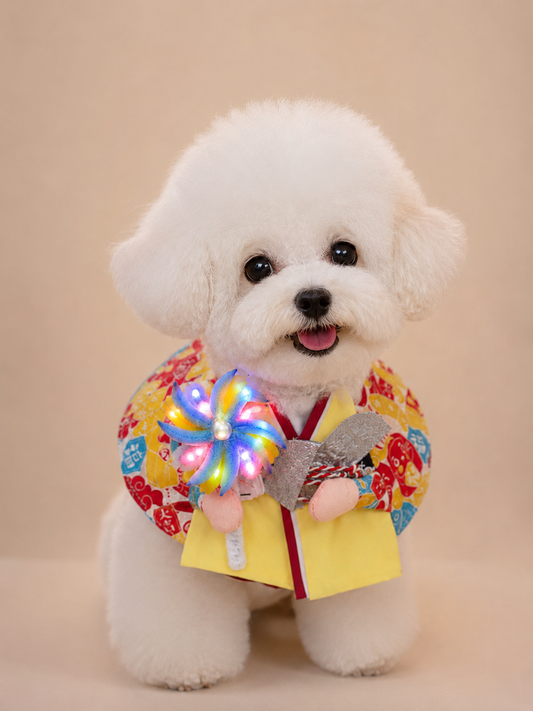 Fireworks Festival Sakura Kimono Pet Scarf – Boy product image | GutsDogCom