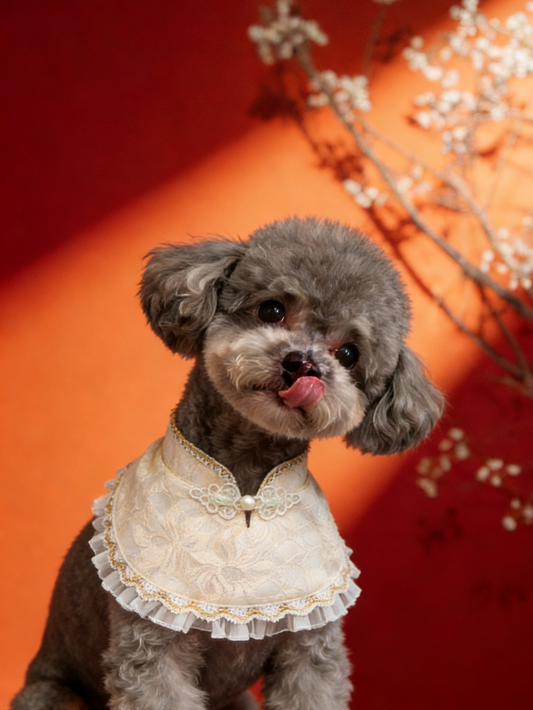Limited Ivory Lace Cheongsam Pet Scarf product image 2 | GutsDogCom