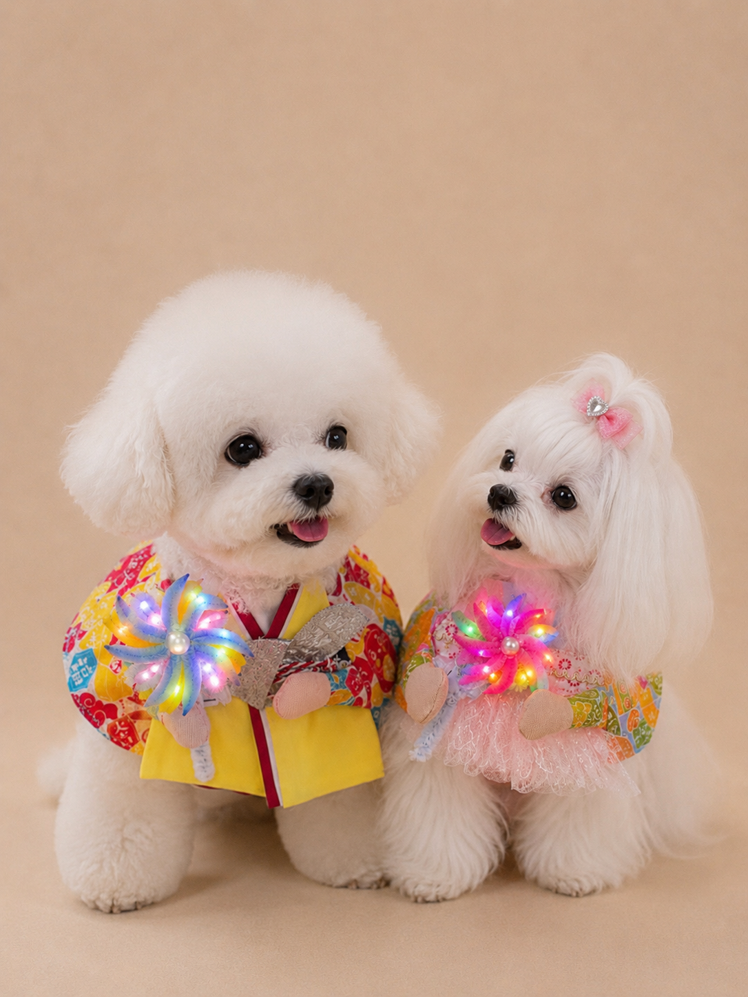 Fireworks Festival Sakura Kimono pet scarf product image | GutsDogCom