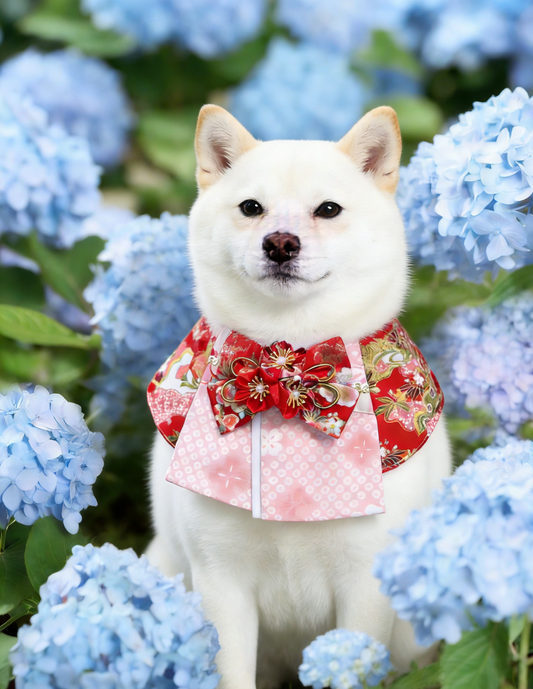 Spring Sakura Kimono Pet Scarf product image 2 | GutsDogCom