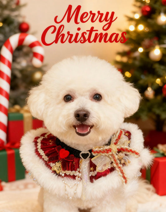 Christmas Gala Ball Scarf (Red) 聖誕華麗舞會圍巾(酒紅色)