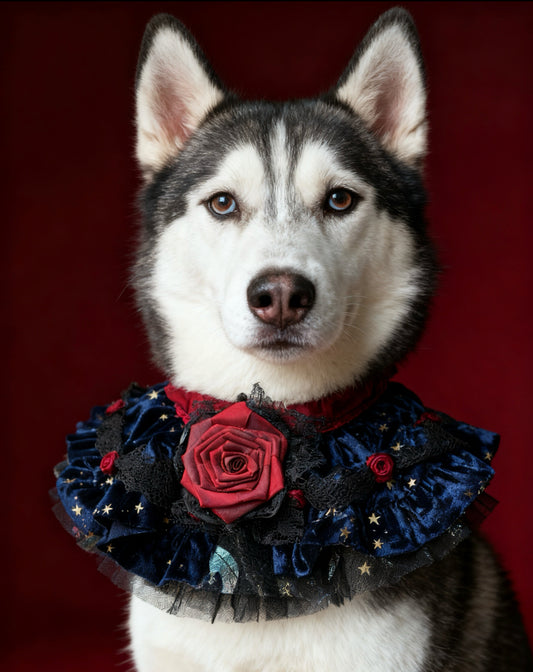 Royal Countess of Rose Scarf (Dark Blue Starry Fabric) | GutsDogCom