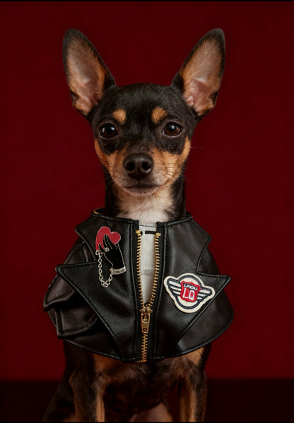 GDC0675 	Rock友皮褸圍巾（黑色）