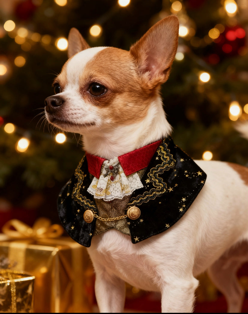 GDC1019 華麗璀璨星空伯爵紳士領巾