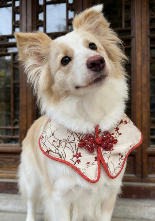 Red Plum Blossom Qipao product image 2 | GutsDogCom