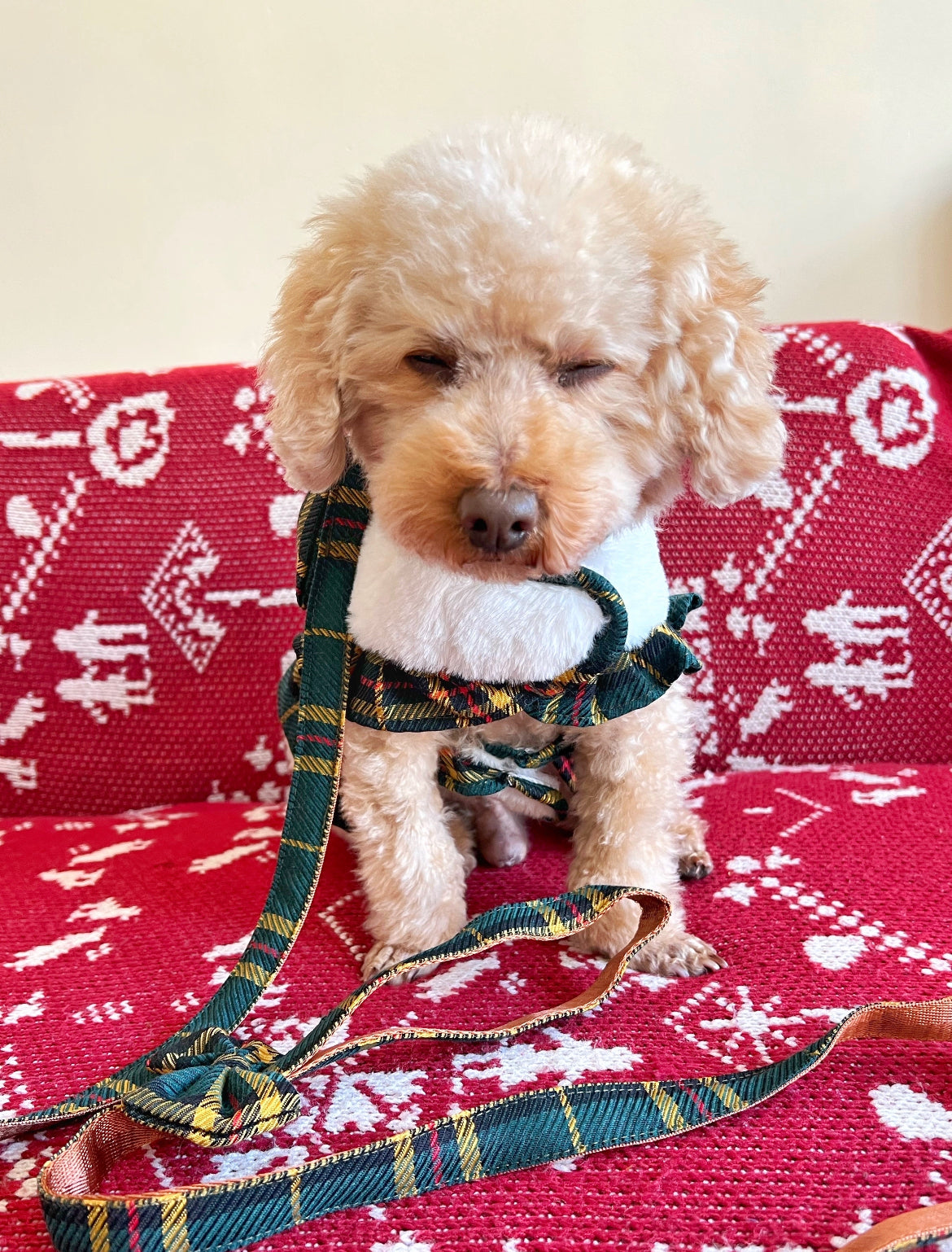 GDC0507 復古格胸背帶（白毛毛）不連拖繩