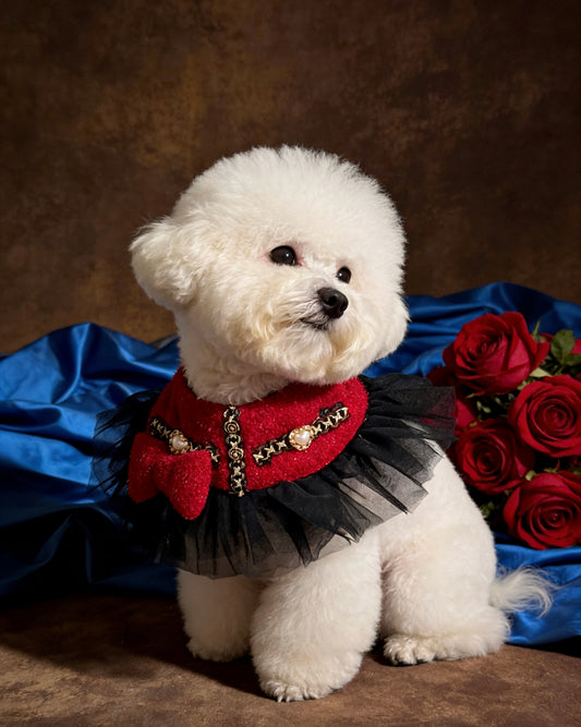 Elegant Burgundy Tweed Pet Scarf product image 2 | GutsDogCom