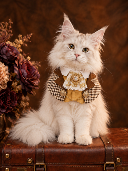 Royal Vintage Gentleman Pet Scarf