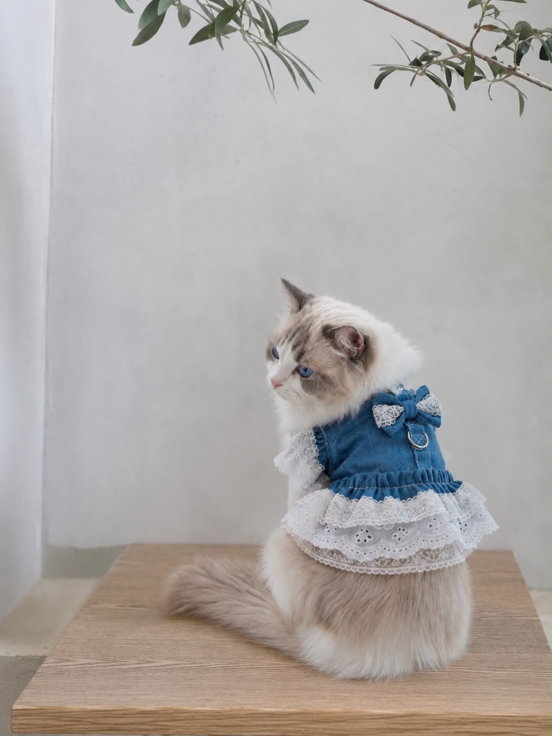 Élodie Denim Lace Harness