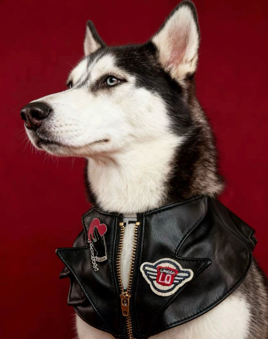 GDC0675 Rock友皮褸圍巾（黑色）產品正在製作中，預計3/25日發貨