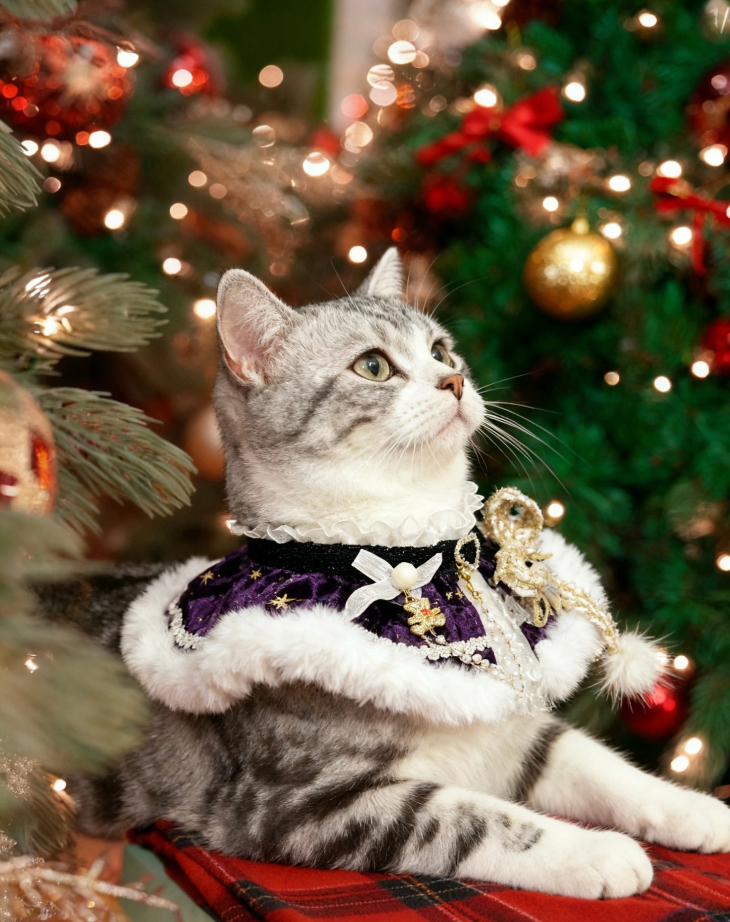 Christmas Gala Ball Scarf (Purple) 聖誕華麗舞會圍巾 (紫色）