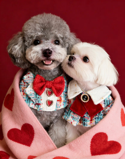 GDC0530 藍紅粗毛編織西裝圍巾