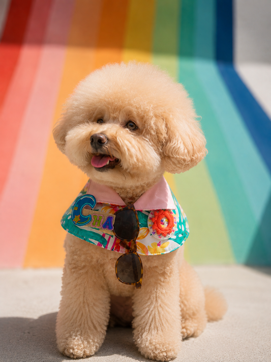Hawaiian Shirt Collection – Blush Coast product image 2 | GutsDogCom