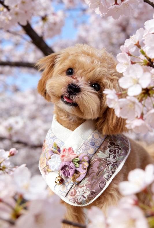 GDC1033 櫻花小袖和服領 Hanami Kosode Scarf