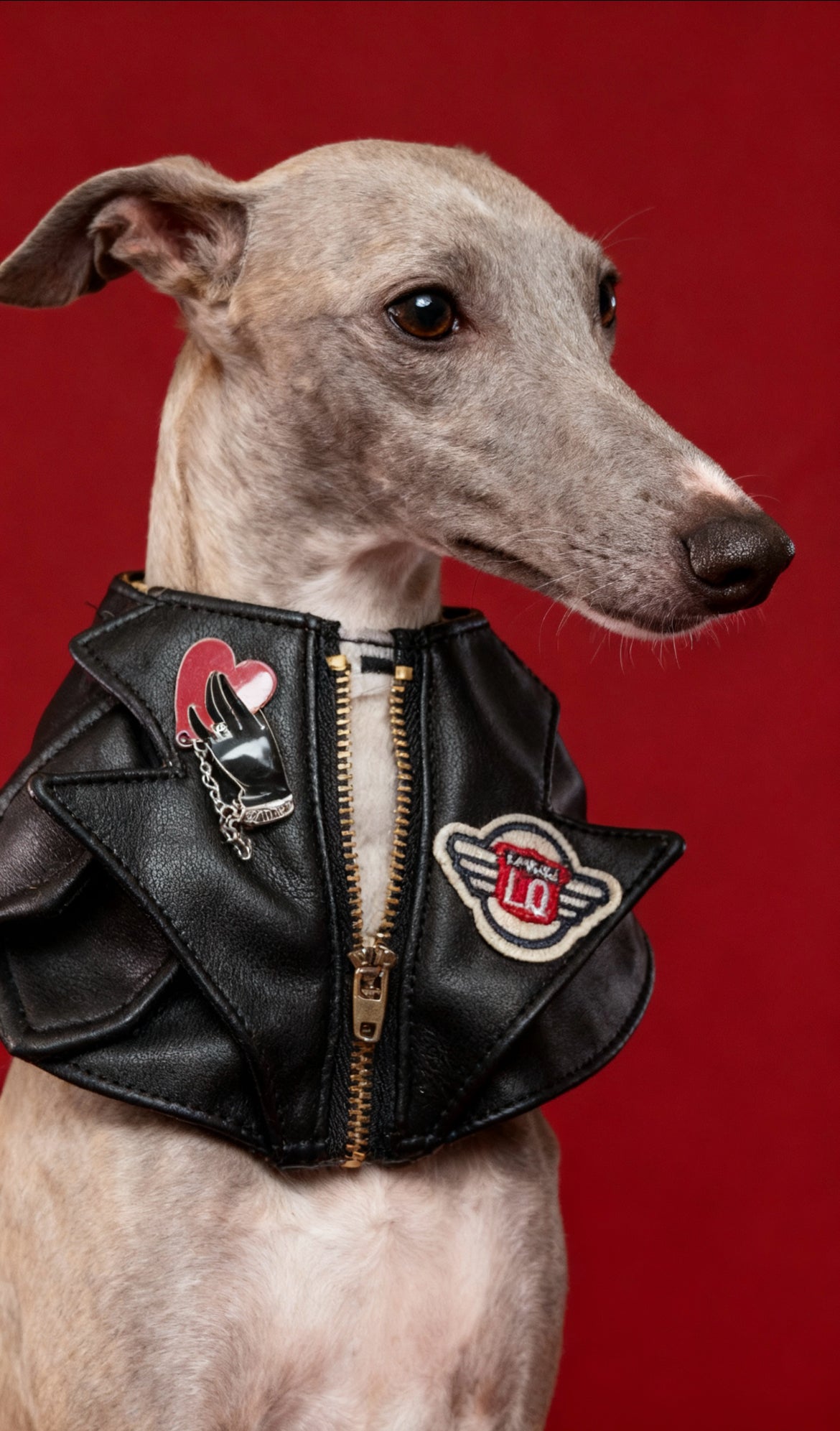 GDC0675 	Rock友皮褸圍巾（黑色）