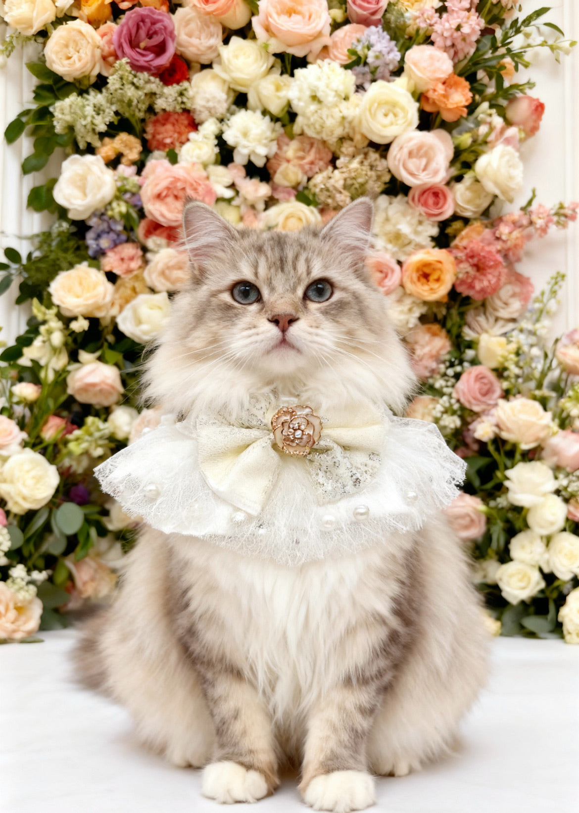 GDC0652 法式玫瑰花蕾絲圍巾