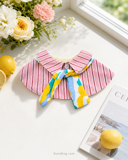 盛夏間條恤衫-男款 Sunny Stripe Shirt Collar Scarf – Boy