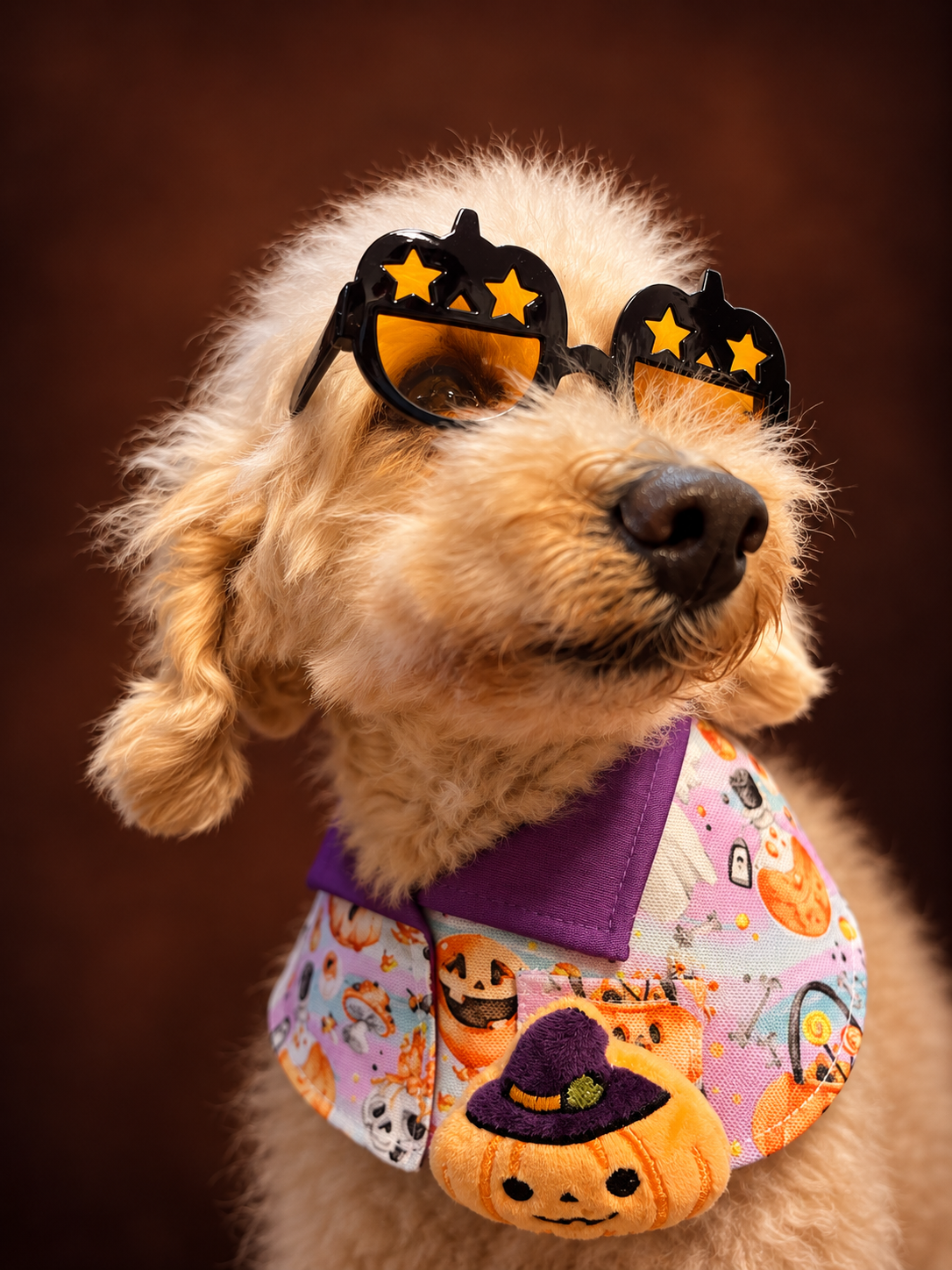 Sparkly Halloween Pumpkin Pet Scarf with Black Pumpkin Glasses