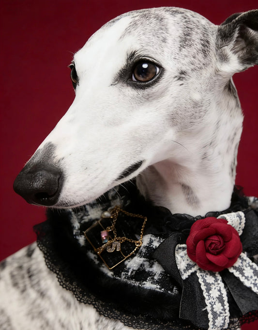 Elegant Black Camellia Tweed Pet Scarf product image 2 | GutsDogCom