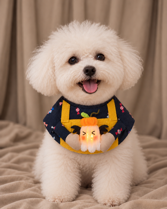 Candy Clown Pet Scarf with Ghost - Black Yellow