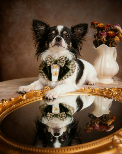 Vintage British Suit Scarf (Green) 復古英倫西裝圍巾（綠色）