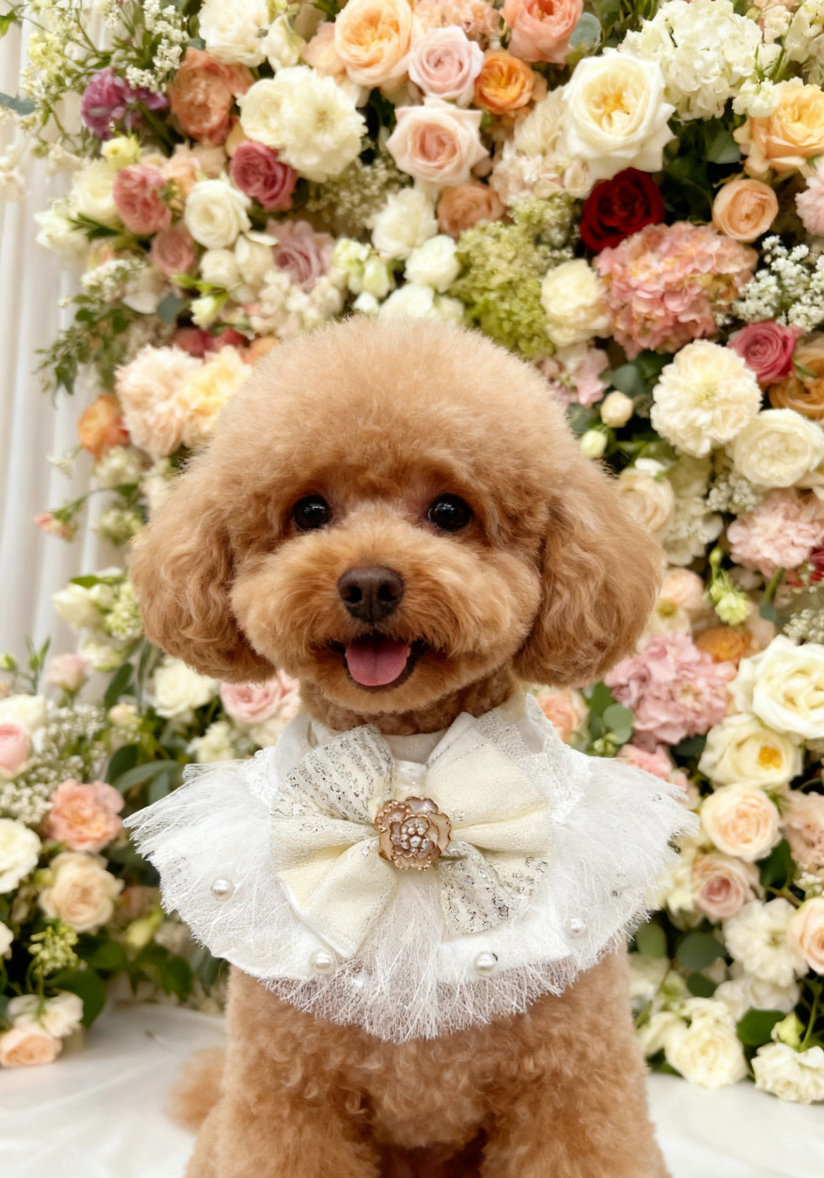 GDC0652 法式玫瑰花蕾絲圍巾