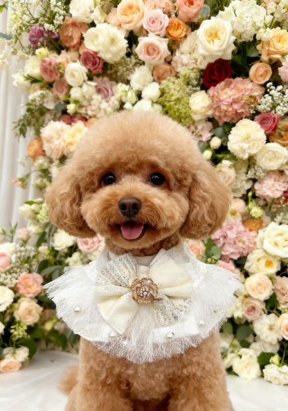 GDC0652 法式玫瑰花蕾絲圍巾