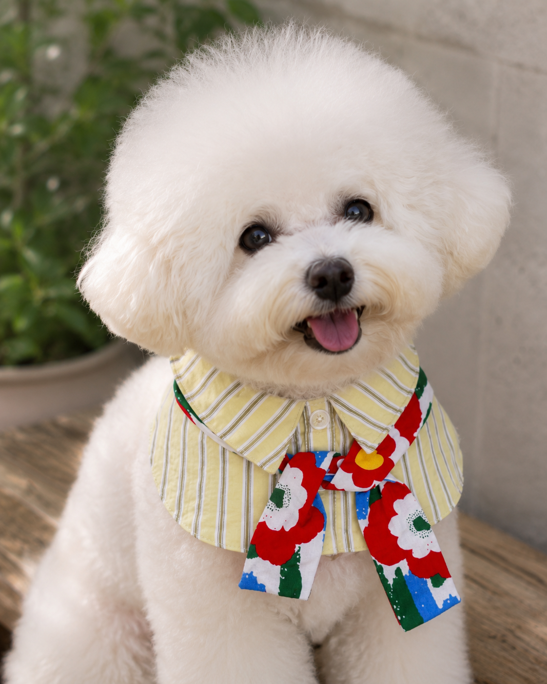 Sunny Resort Shirt Scarf - Boy