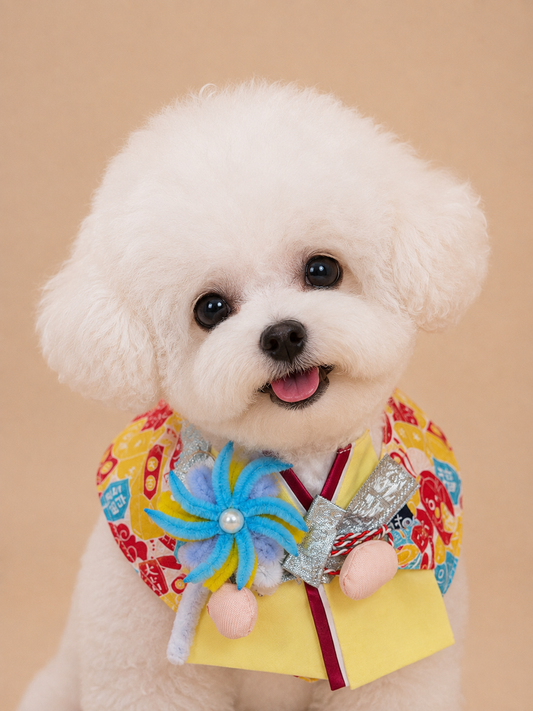 Fireworks Festival Sakura Kimono Pet Scarf - Boy