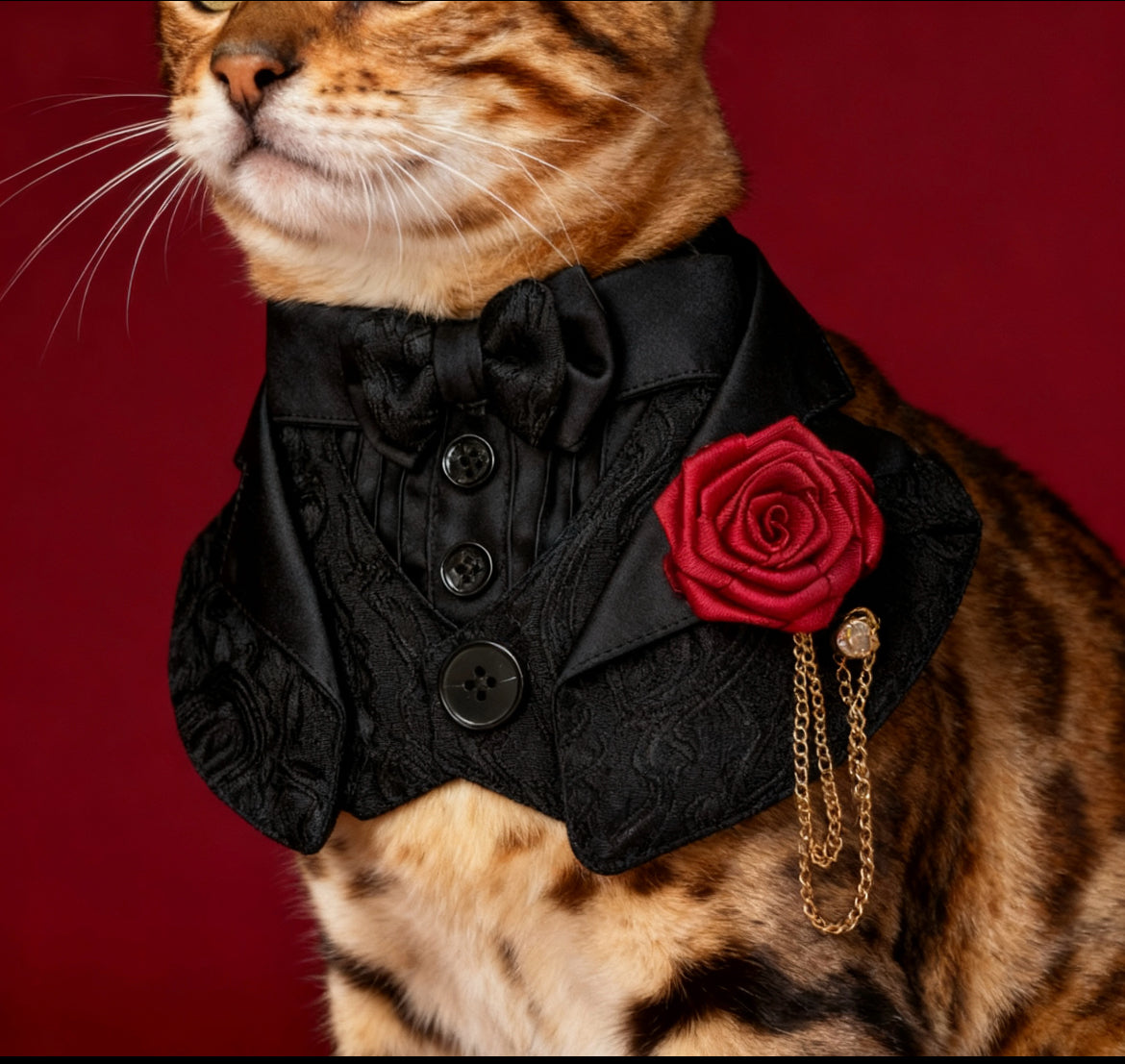 Classical Black Attire Scarf 古典婚禮禮服圍巾（黑色）