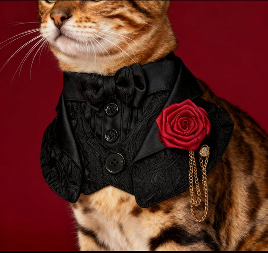 Classical Black Attire Scarf 古典婚禮禮服圍巾（黑色）