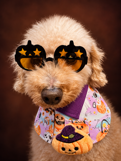 Sparkly Halloween Pumpkin Pet Scarf with Black Pumpkin Glasses