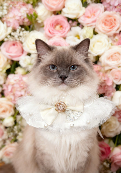 GDC0652 法式玫瑰花蕾絲圍巾