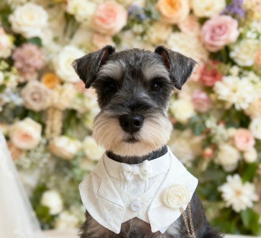 Classical White Attire Scarf 古典婚禮禮服圍巾